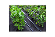 Weed Control Woven Fabric  120gm - 2m x 50m