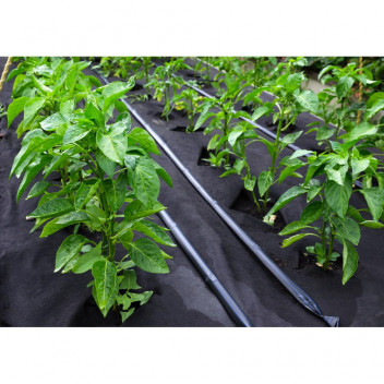 Weed Control Woven Fabric  120gm - 2m x 50m